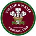 Virginia Water FC (@vwfcofficial) Twitter profile photo