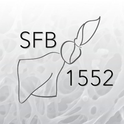 sfb1552 Profile Picture