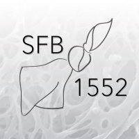 SFB 1552 (@sfb1552) 's Twitter Profile