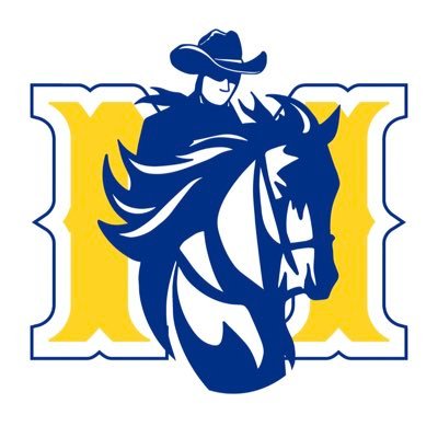 To Create a McNeese Experience Second to None #ExperienceTheTeam