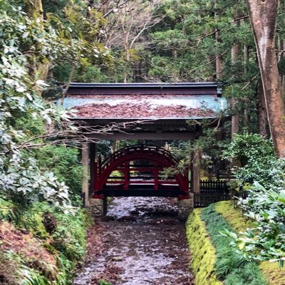 燕野さとる🇯🇵　猫と神社の切り絵作家🐈⛩️さんのプロフィール画像