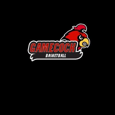 Gamecock Basketball