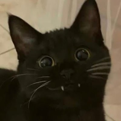 Nacho_xd0's profile picture.