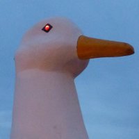 louis (@thislouisguy) 's Twitter Profile Photo louis (@thislouisguy) 's Twitter Profile Photo