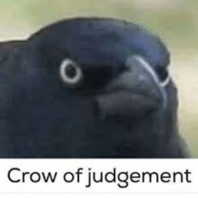 TheBIindGuardia's profile picture. 