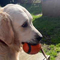 TM 🥸 (@tm_charts) 's Twitter Profile Photo