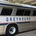 F3Greyhound (@greyhound1576) Twitter profile photo F3Greyhound (@greyhound1576) Twitter profile photo