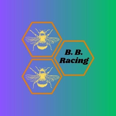 Beebeeracing Profile Picture