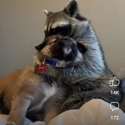 bvmman's profile picture. The difference between you and me is time space and a couple of vowels.