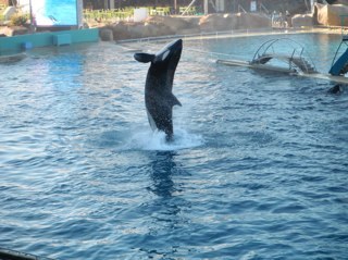 Franckl98's profile picture. plutot sympa, ouvert, et tout et tout