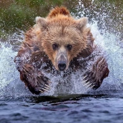 peedeeslingshot's profile picture. 