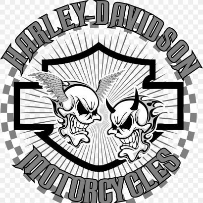 I am a biker, and have been for over thirty years! I am also a PHD Certified Harley Davidson Technician! I ride a 1988 1200 Sportster, that is fully customized.