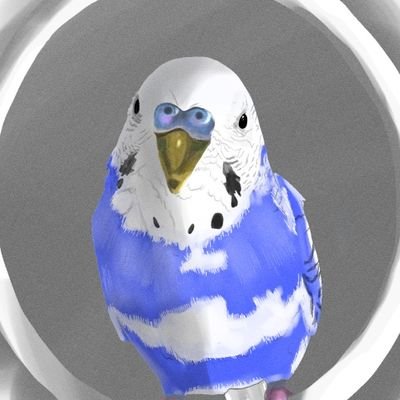 ぬいぬいさんのプロフィール画像