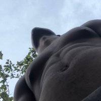 Brunettexxx😈🔥 (@morenooxxxx) 's Twitter Profile