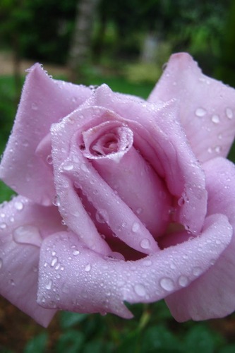 SherrylAnneOng's profile picture. SIMPLE!