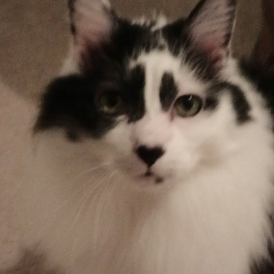 MaccallaSandra's profile picture. Founder of LifeSkills Academy - a for-profit online resource to learn from seasoned educators what you're learning the 'hard way.'