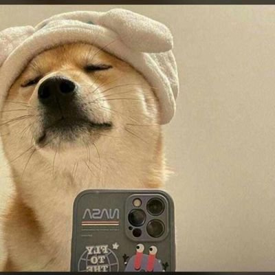 NnabudeNnamdi's profile picture. Dealer On All Male Wears 👖👔

To Order On WhatsApp 08130340645

8L86BSNW