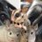 serikichi_pet's profile image