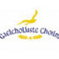 gaelcholaistechoilm (@gaelcholaiste) 's Twitter Profile