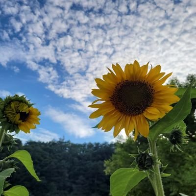 초보부부 스왑 연락주세요~