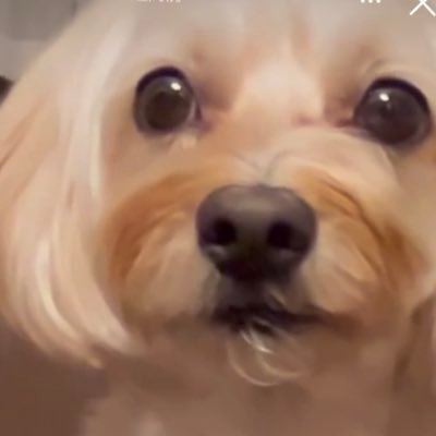 見る専になりました。
