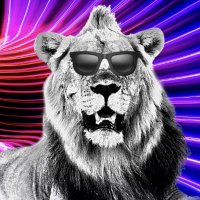 On The Go Crypto (@onthegocryptoyt) 's Twitter Profile