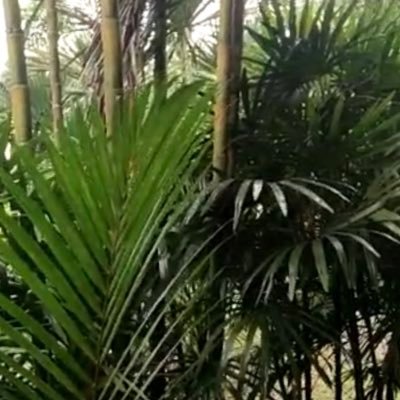 Gagadddd1212's profile picture. أحب الله ورسوله صلى الله عليه وسلم، وأرجو أن أكون من أهل الفردوس الأعلى من الجنة.