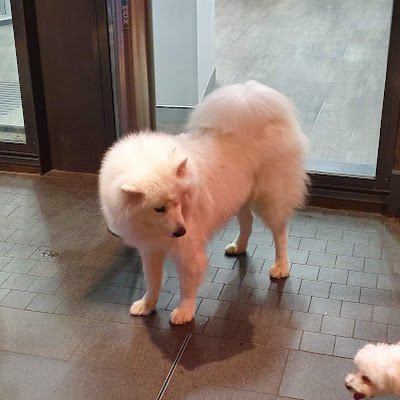 Neo695193167044's profile picture. 