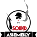 Sound Assembly (@soundassembly) Twitter profile photo