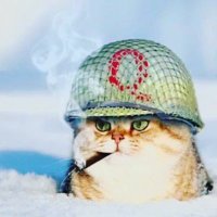 CQQLKAT 😎(@supporting_2020) 's Twitter Profile Photo