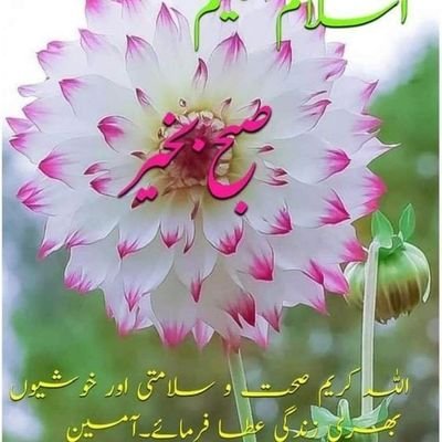 ArshadMahmud8's profile picture. 