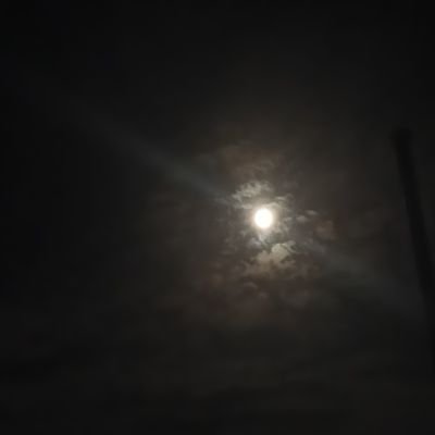 CubaniniLAN's profile picture. League player, Iron 1 pro player, I like manga anime and those Touhou fumos and Evangelion weeb stuff