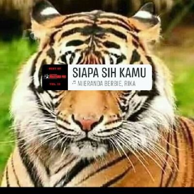 MarsianoPu77564's profile picture. Ojo di banding banding ke