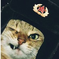 pajivyon pavidem ☭(@pajibaskan) 's Twitter Profile Photo