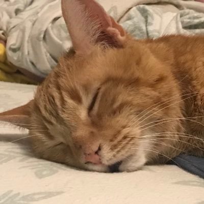 Immigration without assimilation is indeed invasion 日本在住の反日外国人はどうぞ祖国におかえりください。地球動物植物大好き。西洋東洋医学かじった。この世はほぼ茶番だが弥勒の世はもうすぐ。ユタ州SLC郊外に完全無料のシェディング避難所を建設するのが今んとこの目標です。