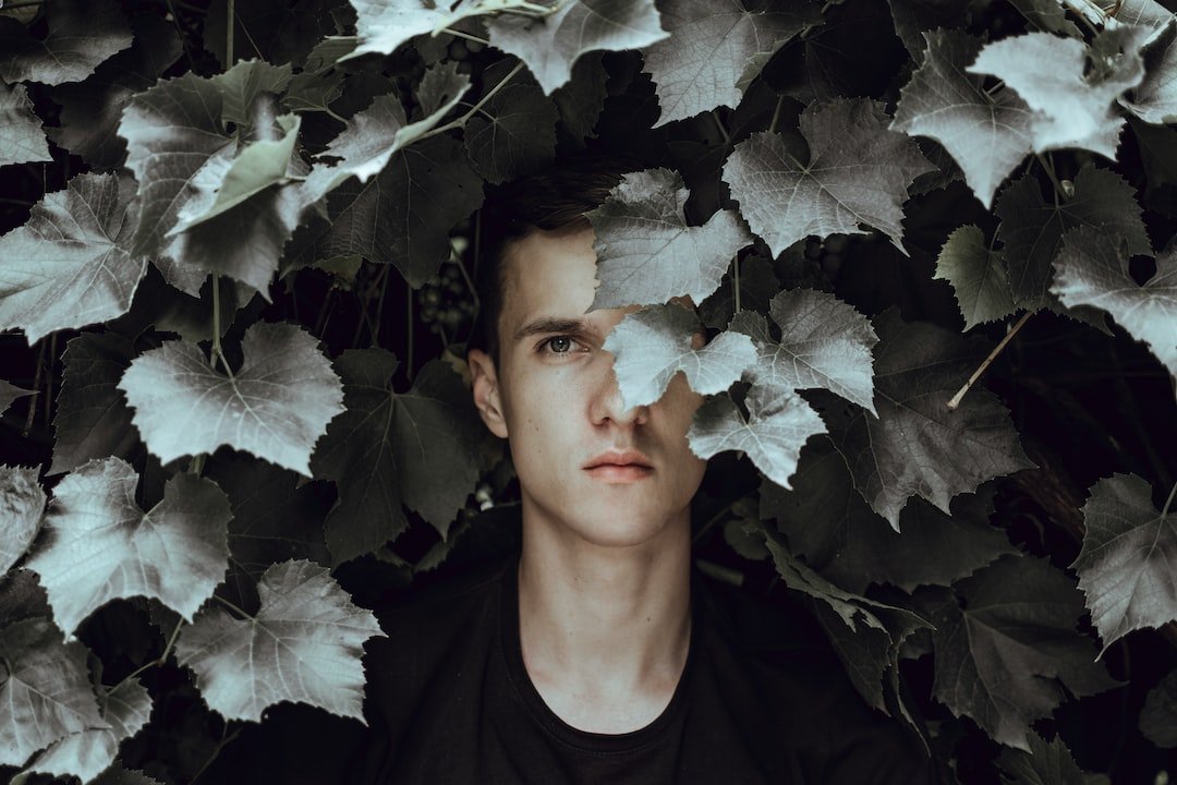 Modesto16380266's profile picture. 