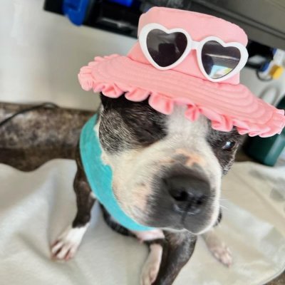 ThePostman405's profile picture. 