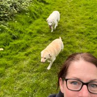 Karen C (@kejcox) Twitter profile photo