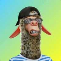 CryptoLorent46 (@cryptol5966) 's Twitter Profile