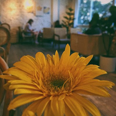 pliinhh99's profile picture. 