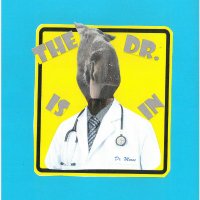 The Dr. (The Definitive Article) (@drmooseak15) 's Twitter Profile