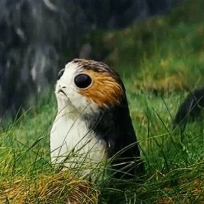 CCKK39831126's profile picture. 