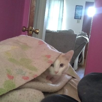 coooooo12's profile picture. 