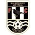 Malmesbury Victoria Development FC (@VicsDevelopment) Twitter profile photo