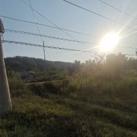 ho hai ❤️ Memecoin (@hohai53) 's Twitter Profile