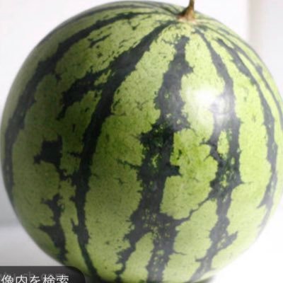 pizapoteto88464's profile picture. 専修