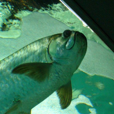 miyagire's profile picture. web制作勉強中