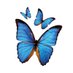 Royal Devon NHS Transformation (@rduhtransform) Twitter profile photo Royal Devon NHS Transformation (@rduhtransform) Twitter profile photo