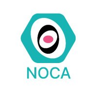 National Ovarian Cancer Audit(@NOCA_NATCAN) 's Twitter Profile Photo