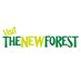 Visit the New Forest (@TheNewForestUK) Twitter profile photo